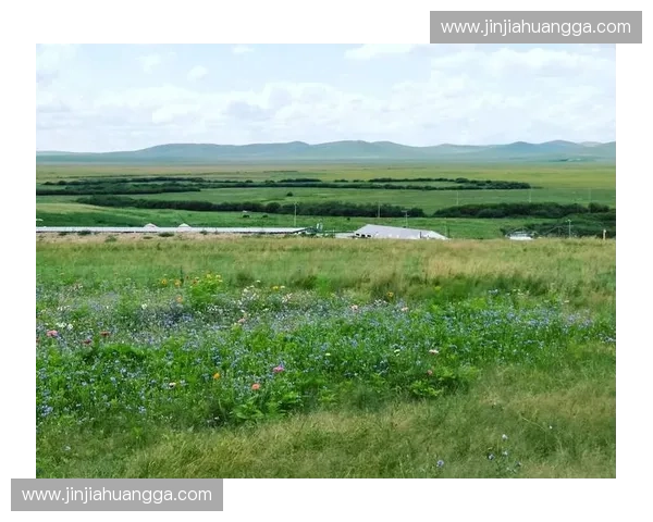 巅峰对决的幻梦与荣光：当广州红遇上银河白，一场跨越时空的绿茵史诗